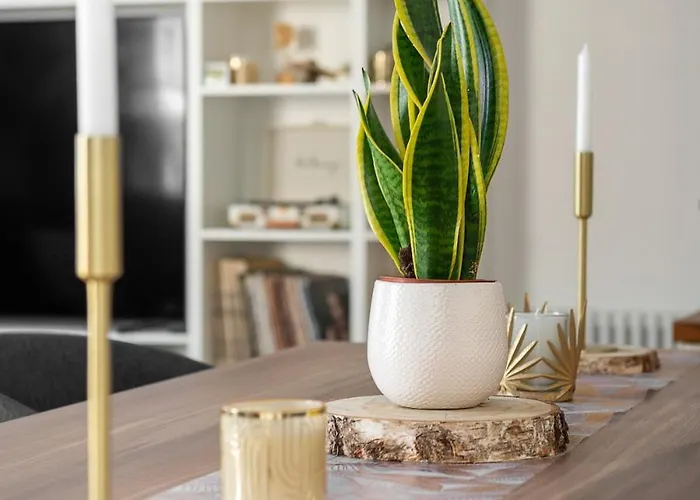 D'exception En Plein Coeur De Apartmán